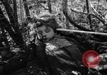 Immagine di Assassinato belgi Stavelot Belgio, 1944, secondo 44 filmato di repertorio 65675050383