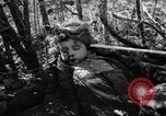 Immagine di Assassinato belgi Stavelot Belgio, 1944, secondo 46 filmato di repertorio 65675050383
