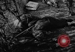 Immagine di Assassinato belgi Stavelot Belgio, 1944, secondo 48 filmato di repertorio 65675050383