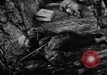 Immagine di Assassinato belgi Stavelot Belgio, 1944, secondo 49 filmato di repertorio 65675050383