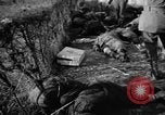 Immagine di Assassinato belgi Stavelot Belgio, 1944, secondo 50 filmato di repertorio 65675050383