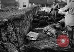Immagine di Assassinato belgi Stavelot Belgio, 1944, secondo 51 filmato di repertorio 65675050383
