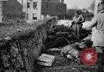 Immagine di Assassinato belgi Stavelot Belgio, 1944, secondo 52 filmato di repertorio 65675050383
