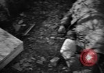 Immagine di Assassinato belgi Stavelot Belgio, 1944, secondo 55 filmato di repertorio 65675050383