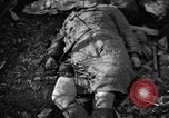 Immagine di Assassinato belgi Stavelot Belgio, 1944, secondo 56 filmato di repertorio 65675050383
