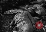 Immagine di Assassinato belgi Stavelot Belgio, 1944, secondo 57 filmato di repertorio 65675050383