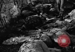 Immagine di Assassinato belgi Stavelot Belgio, 1944, secondo 58 filmato di repertorio 65675050383