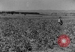 Image pré-agriculture mécanistes Chine, 1938, de la seconde 18 séquences d'archives historiques vidéo 65675050386