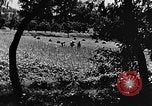 Image pré-agriculture mécanistes Chine, 1938, de la seconde 25 séquences d'archives historiques vidéo 65675050386