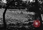 Image pré-agriculture mécanistes Chine, 1938, de la seconde 27 séquences d'archives historiques vidéo 65675050386