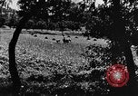 Image pré-agriculture mécanistes Chine, 1938, de la seconde 28 séquences d'archives historiques vidéo 65675050386