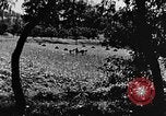 Image pré-agriculture mécanistes Chine, 1938, de la seconde 30 séquences d'archives historiques vidéo 65675050386