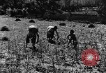 Image pré-agriculture mécanistes Chine, 1938, de la seconde 33 séquences d'archives historiques vidéo 65675050386