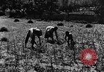 Image pré-agriculture mécanistes Chine, 1938, de la seconde 34 séquences d'archives historiques vidéo 65675050386