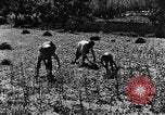 Image pré-agriculture mécanistes Chine, 1938, de la seconde 35 séquences d'archives historiques vidéo 65675050386