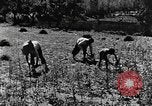 Image pré-agriculture mécanistes Chine, 1938, de la seconde 36 séquences d'archives historiques vidéo 65675050386