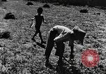 Image pré-agriculture mécanistes Chine, 1938, de la seconde 40 séquences d'archives historiques vidéo 65675050386