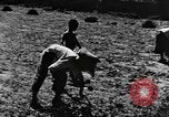 Image pré-agriculture mécanistes Chine, 1938, de la seconde 41 séquences d'archives historiques vidéo 65675050386