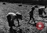 Image pré-agriculture mécanistes Chine, 1938, de la seconde 42 séquences d'archives historiques vidéo 65675050386