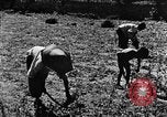 Image pré-agriculture mécanistes Chine, 1938, de la seconde 45 séquences d'archives historiques vidéo 65675050386