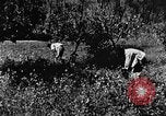 Image pré-agriculture mécanistes Chine, 1938, de la seconde 50 séquences d'archives historiques vidéo 65675050386