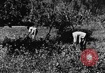 Image pré-agriculture mécanistes Chine, 1938, de la seconde 52 séquences d'archives historiques vidéo 65675050386