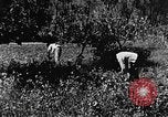 Image pré-agriculture mécanistes Chine, 1938, de la seconde 53 séquences d'archives historiques vidéo 65675050386