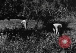 Image pré-agriculture mécanistes Chine, 1938, de la seconde 54 séquences d'archives historiques vidéo 65675050386