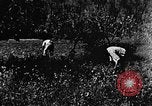 Image pré-agriculture mécanistes Chine, 1938, de la seconde 55 séquences d'archives historiques vidéo 65675050386