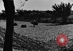 Image pré-agriculture mécanistes Chine, 1938, de la seconde 60 séquences d'archives historiques vidéo 65675050386