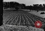 Image pré-agriculture mécanistes Chine, 1938, de la seconde 62 séquences d'archives historiques vidéo 65675050386