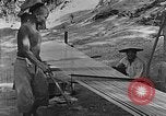 Standbild Warp China, 1938, aus Sekunde 29 historischem Filmmaterial Videoclip 65675050388