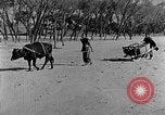 Standbild Backstein Machen China, 1938, aus Sekunde 32 historischem Filmmaterial Videoclip 65675050389