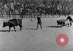 Standbild Backstein Machen China, 1938, aus Sekunde 33 historischem Filmmaterial Videoclip 65675050389