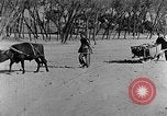 Standbild Backstein Machen China, 1938, aus Sekunde 34 historischem Filmmaterial Videoclip 65675050389