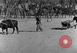 Standbild Backstein Machen China, 1938, aus Sekunde 35 historischem Filmmaterial Videoclip 65675050389