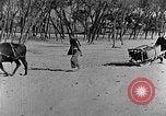 Standbild Backstein Machen China, 1938, aus Sekunde 36 historischem Filmmaterial Videoclip 65675050389