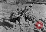 Standbild Backstein Machen China, 1938, aus Sekunde 46 historischem Filmmaterial Videoclip 65675050389