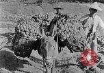 Standbild Backstein Machen China, 1938, aus Sekunde 47 historischem Filmmaterial Videoclip 65675050389