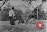 Image of bean cakes China, 1938, second 3 stock footage video 65675050390