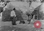 Image of bean cakes China, 1938, second 5 stock footage video 65675050390