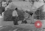 Image of bean cakes China, 1938, second 6 stock footage video 65675050390