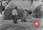 Image of bean cakes China, 1938, second 7 stock footage video 65675050390