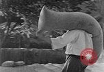 Image of bean cakes China, 1938, second 27 stock footage video 65675050390
