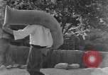 Image of bean cakes China, 1938, second 28 stock footage video 65675050390