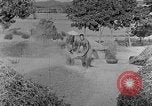 Image of bean cakes China, 1938, second 39 stock footage video 65675050390