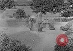 Image of bean cakes China, 1938, second 41 stock footage video 65675050390