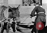 Image of bean cakes China, 1938, second 54 stock footage video 65675050390