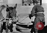 Image of bean cakes China, 1938, second 55 stock footage video 65675050390