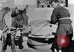 Image of bean cakes China, 1938, second 57 stock footage video 65675050390